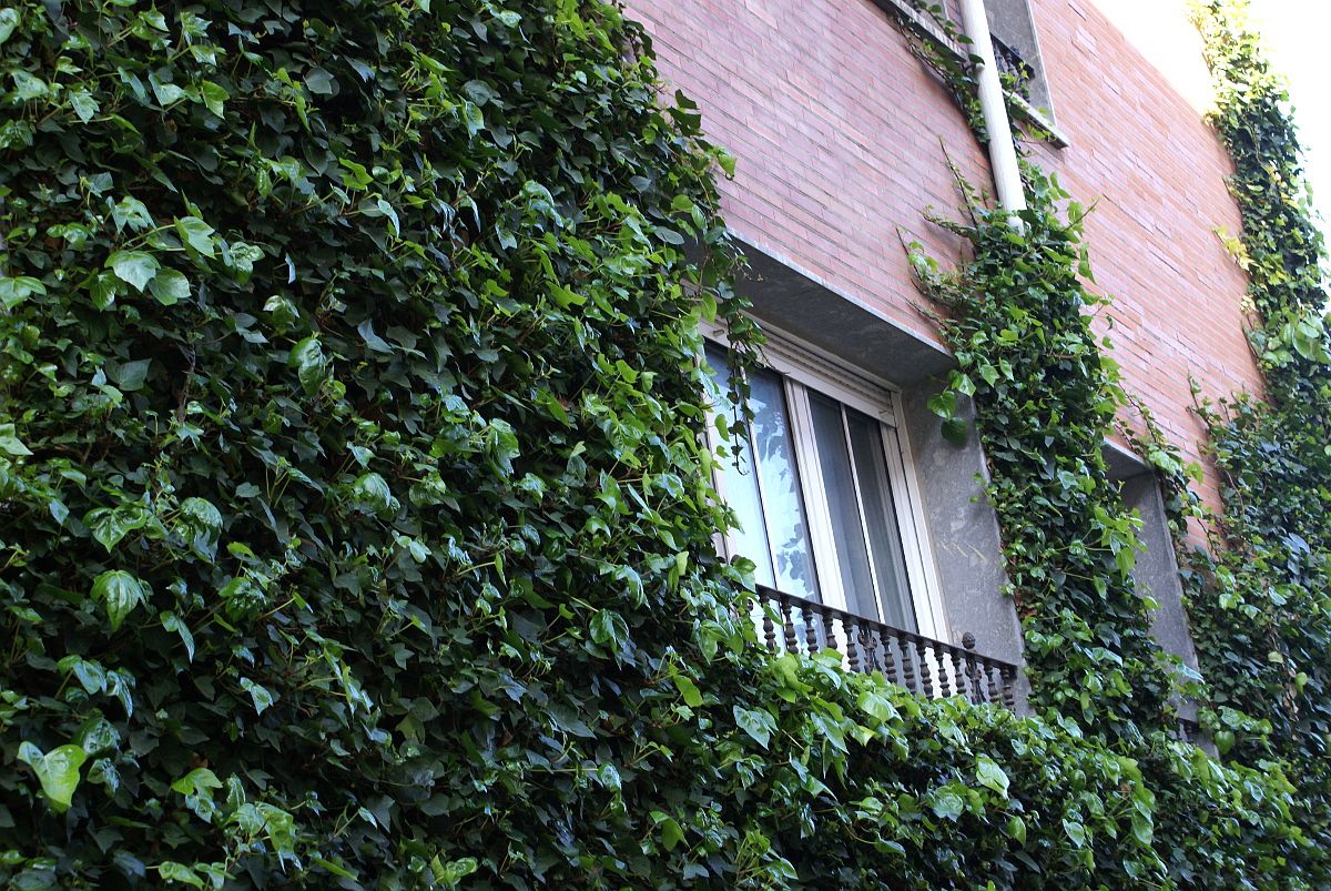 Hotel Gernika
