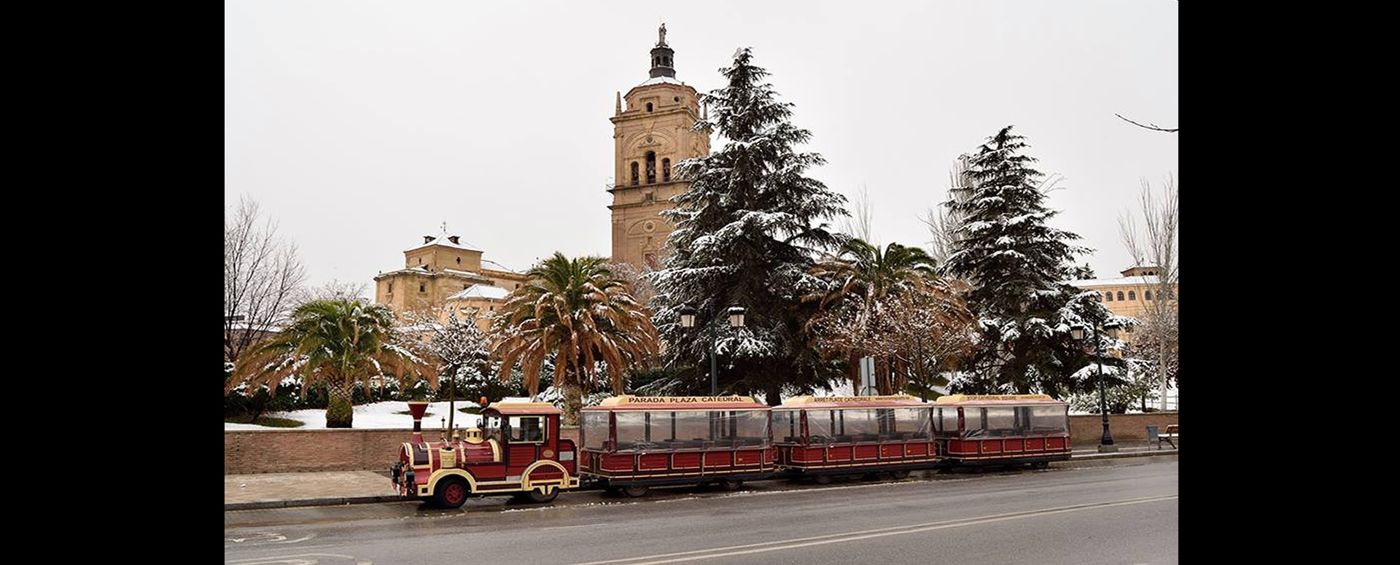 Hotel Carmen