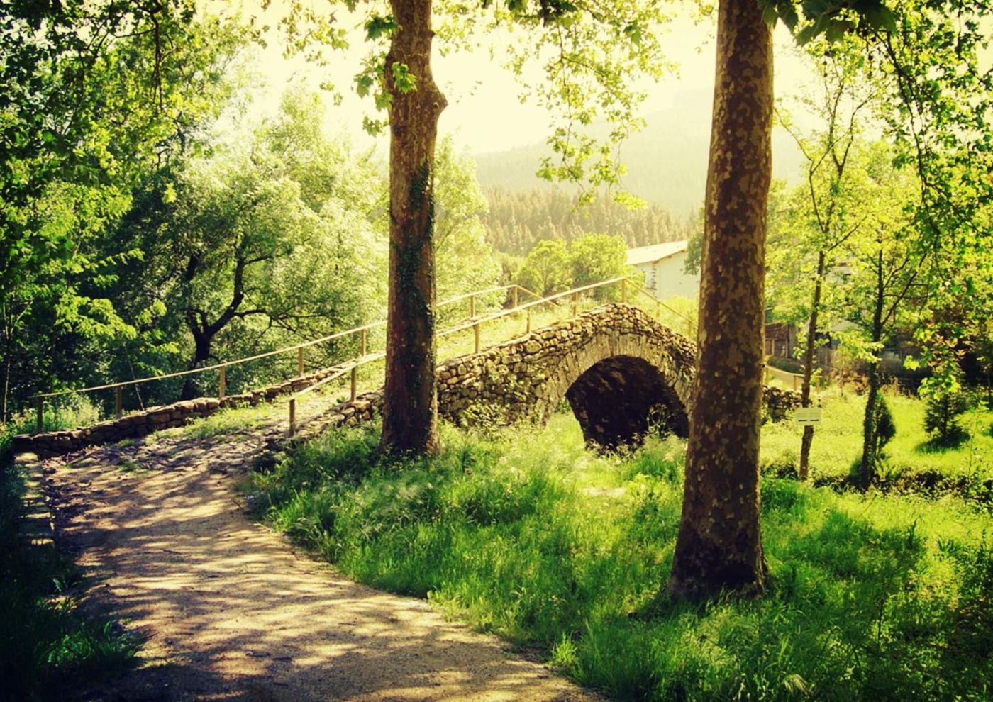 Antsotegi errota