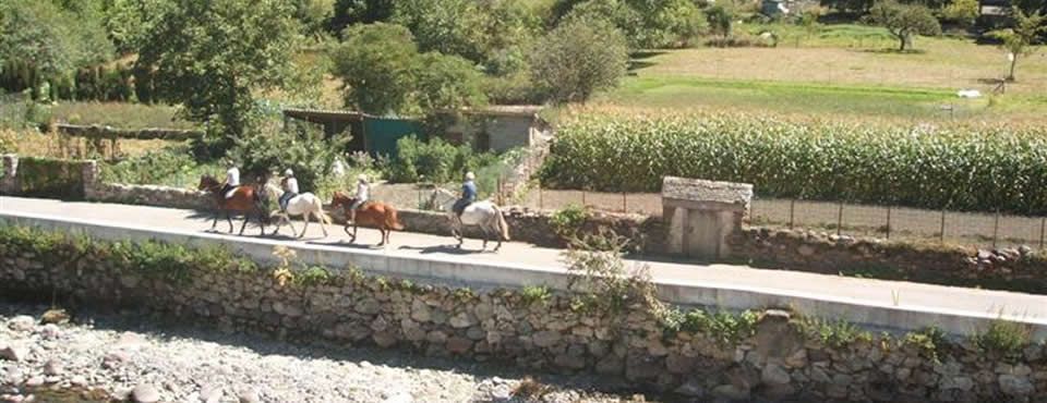 Hotel Garona