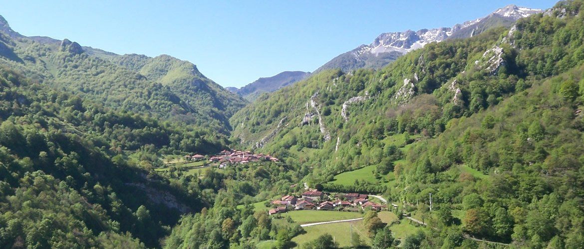 Venta L'Aurora