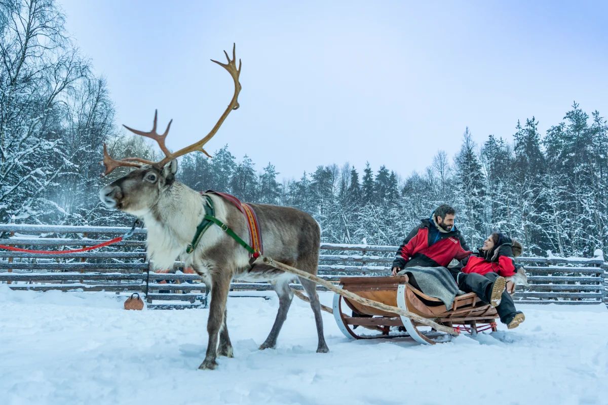Arctic Panorama Resort & Spa