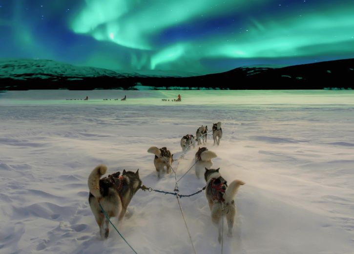 Aurora Queen Resort