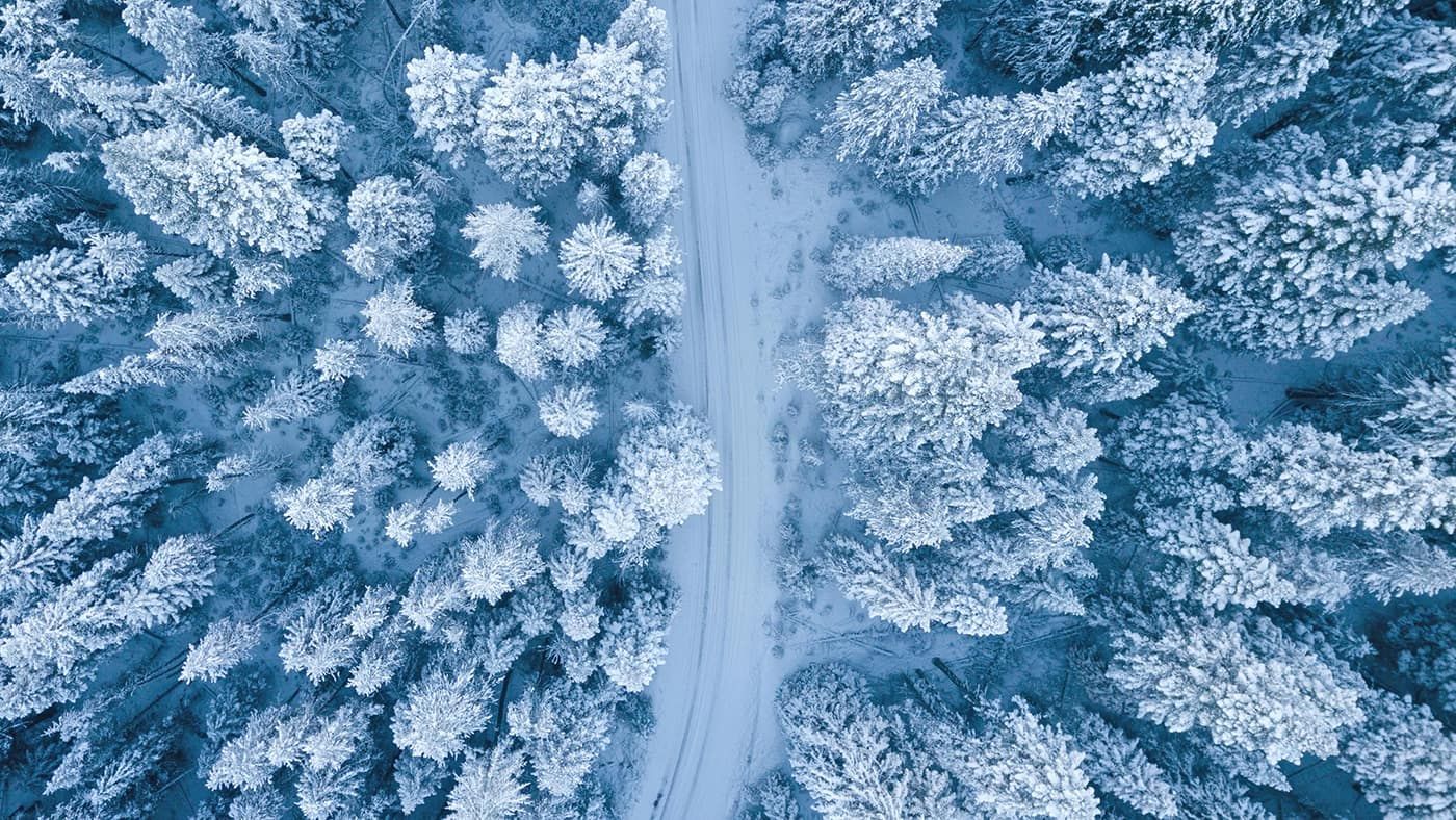 Taiga Resort