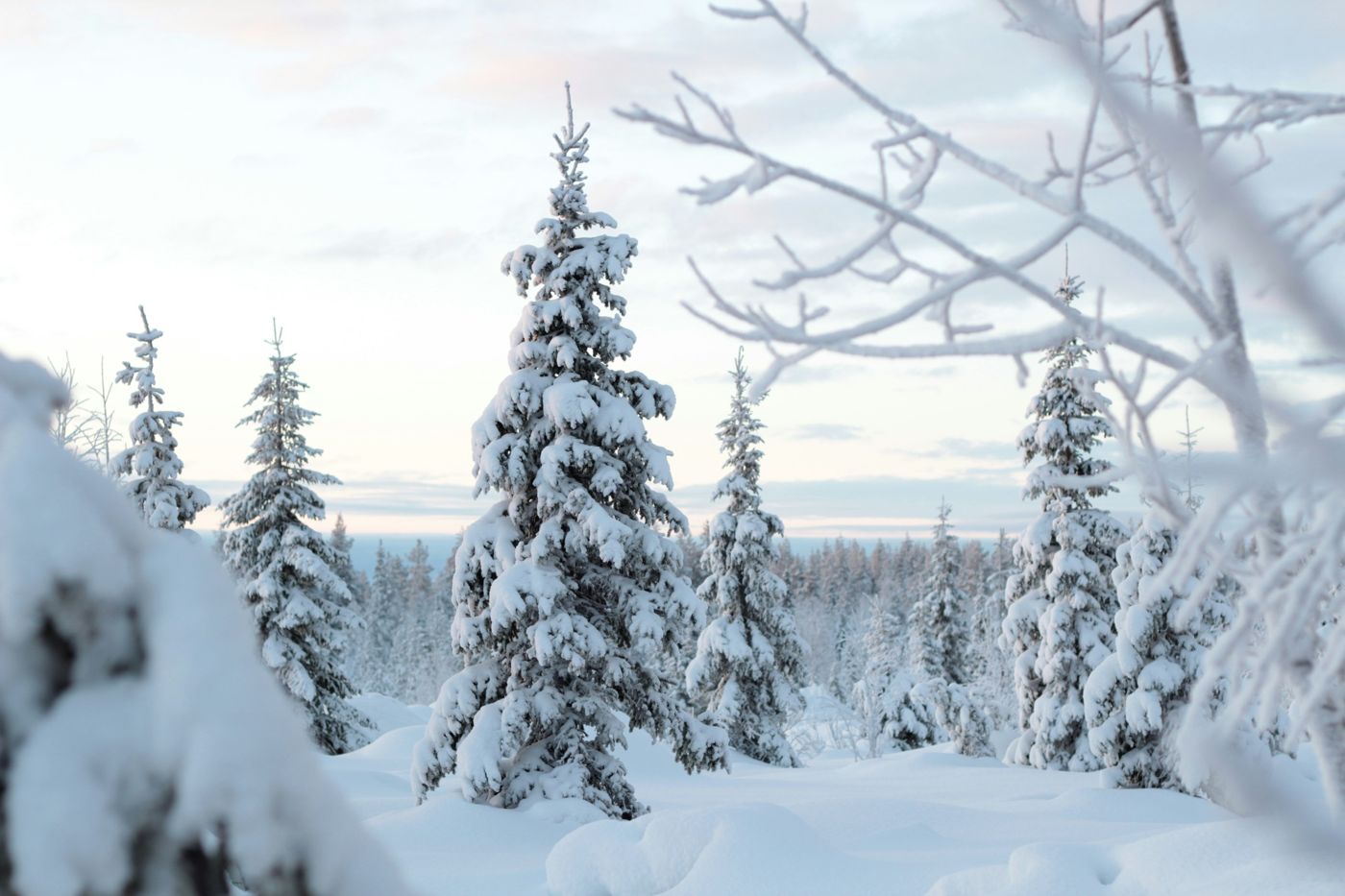 Arctic Home Experience