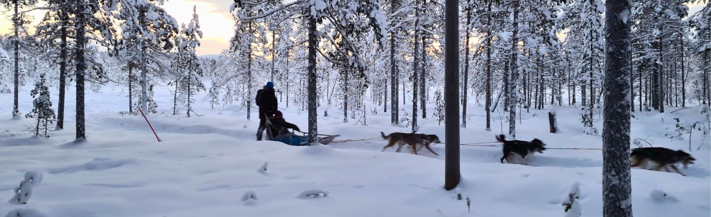Arctic Home Experience