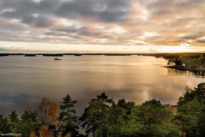 Rantapuisto