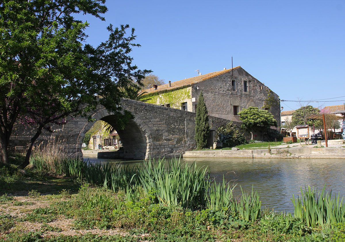 L'itinérante au Somail
