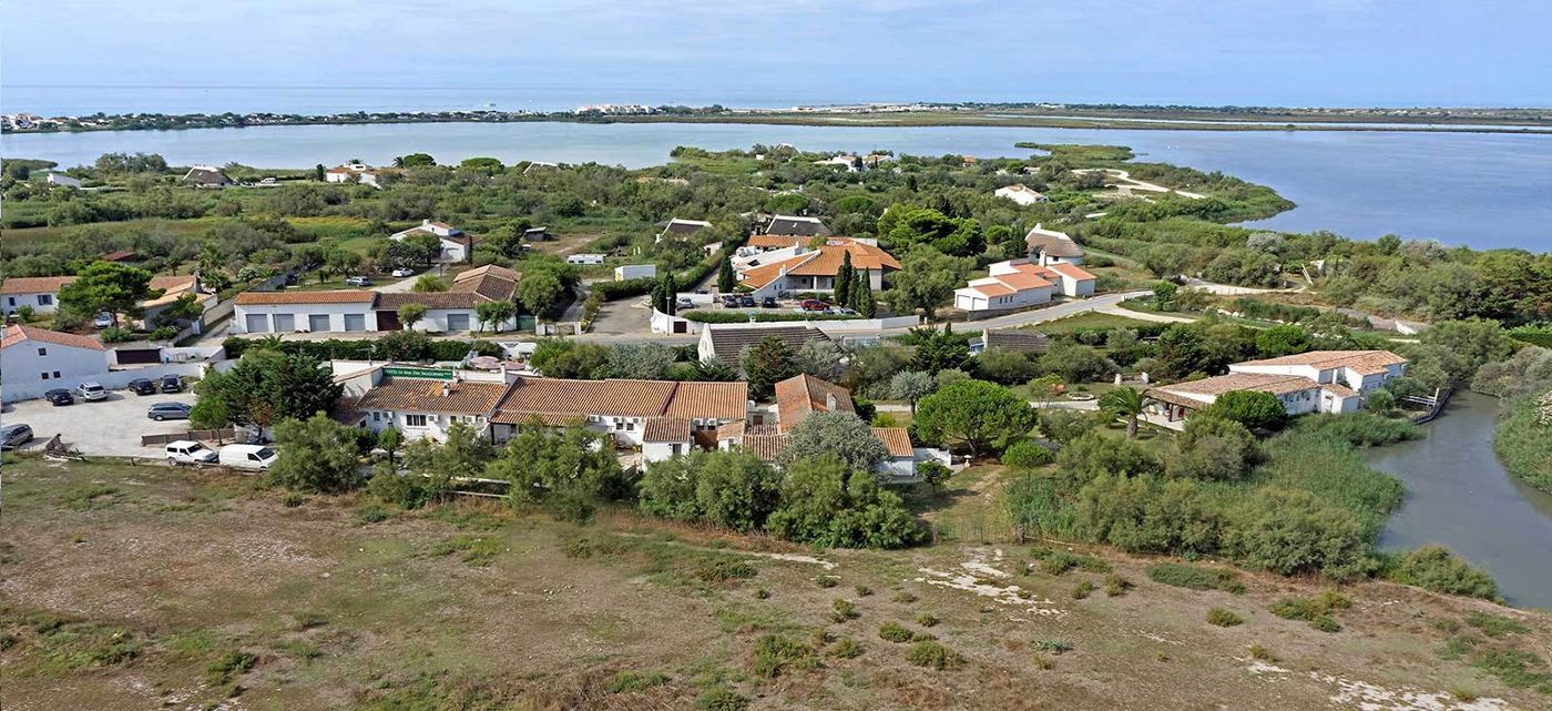 Mas des Salicornes