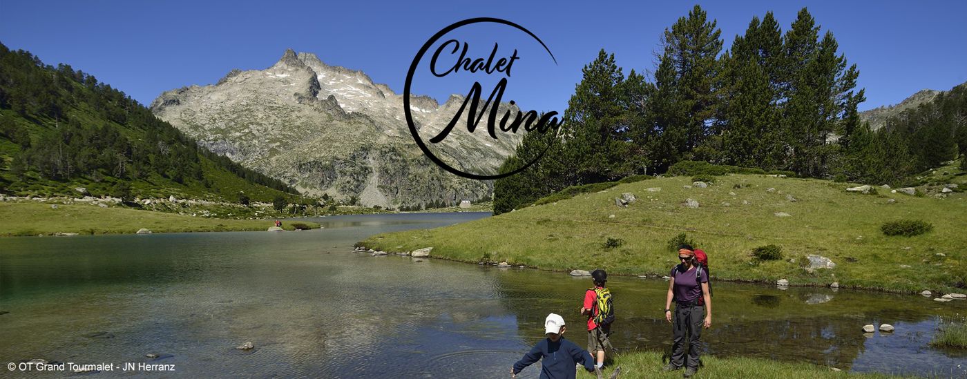 Chalet Mina