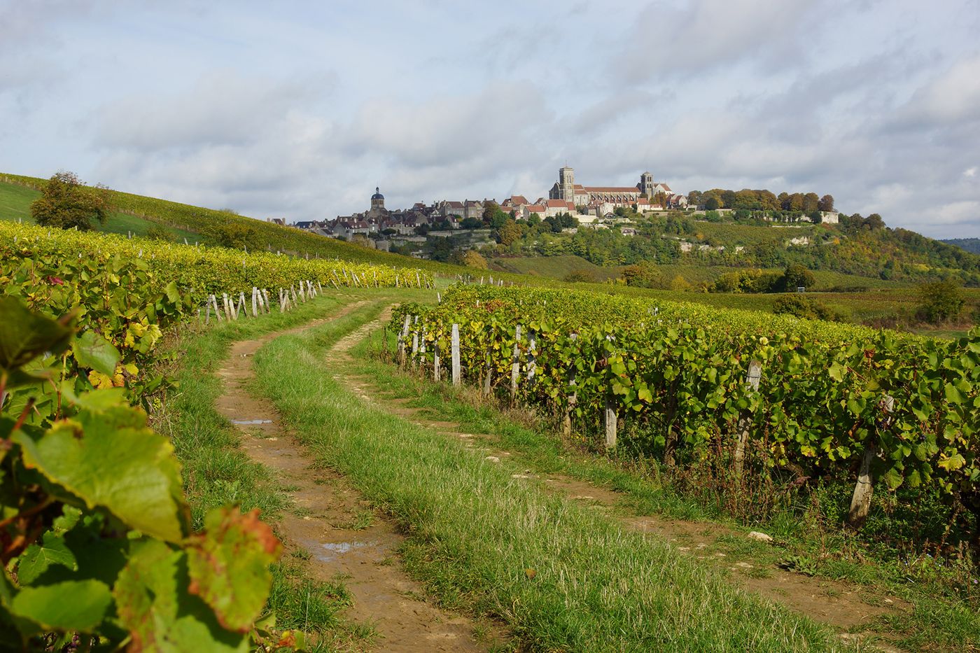 Le Moulin des Templiers