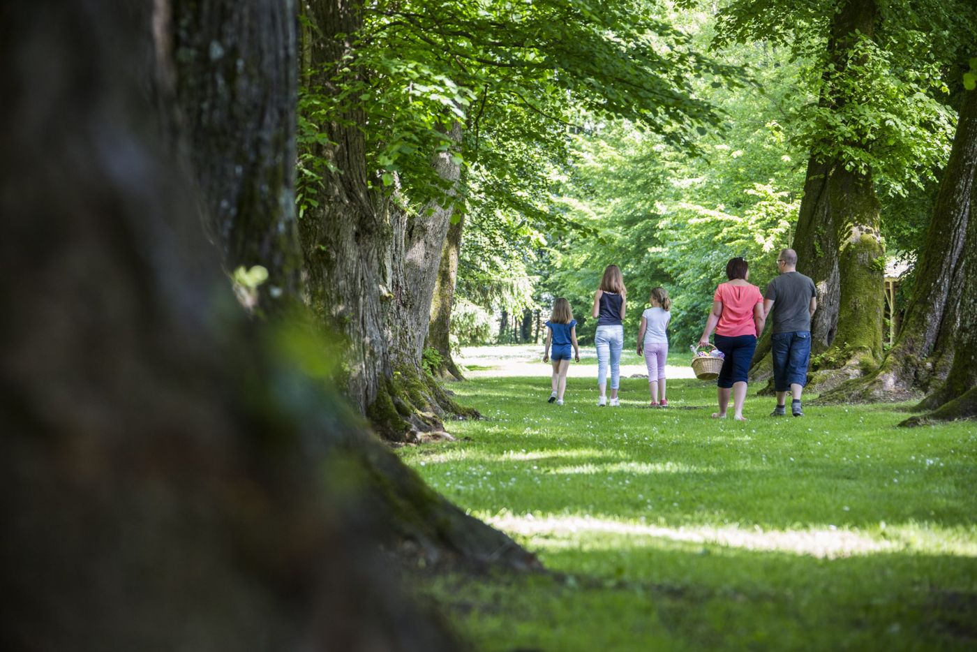 Domaine Des Bachats