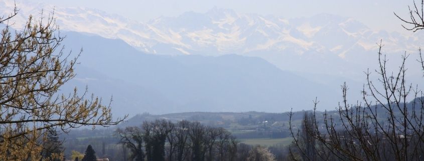 Château La Violette