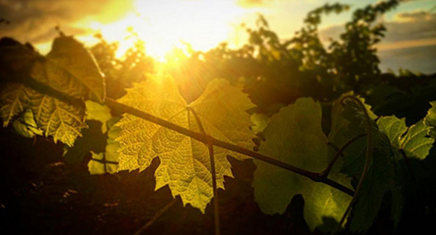 Relais de Pouilly