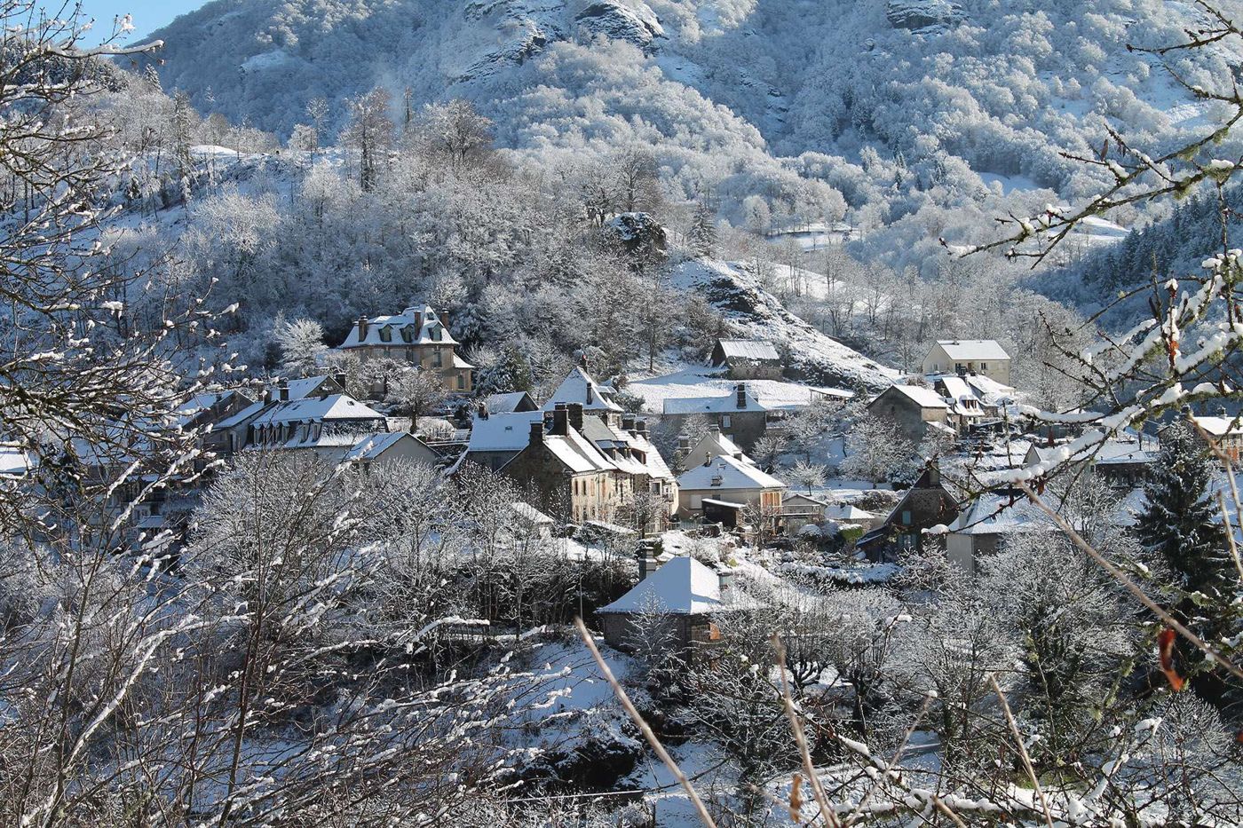 Les Tilleuls