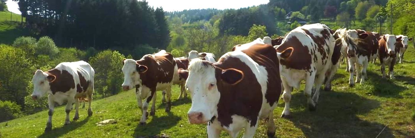 La Ferme Linossier