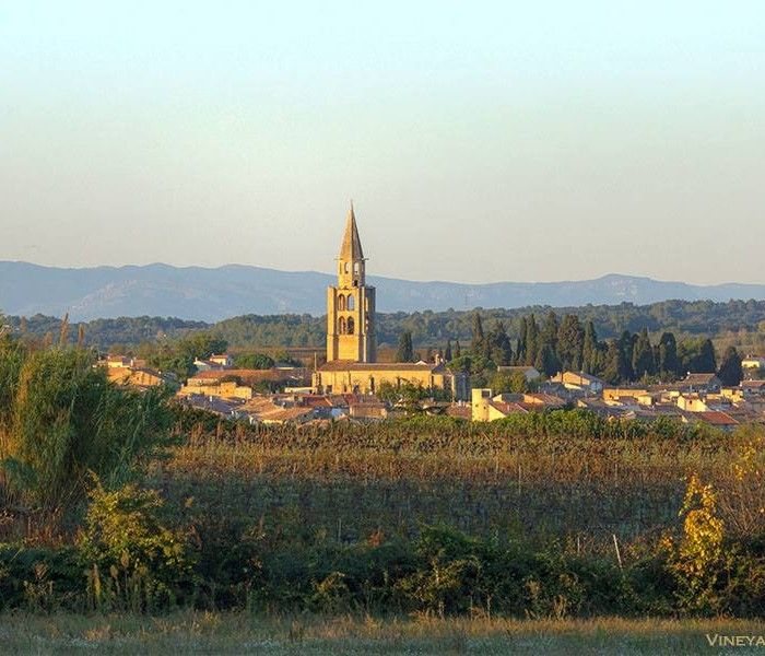 Belle-Vigneronne