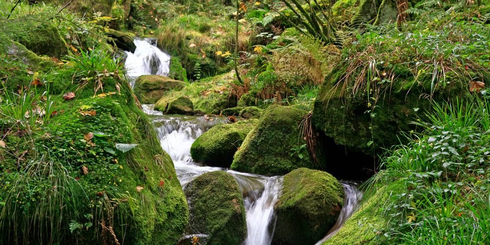 Le Brocéliande