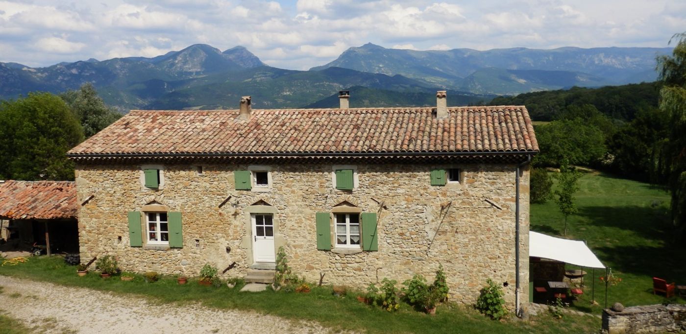 Le Panicaut