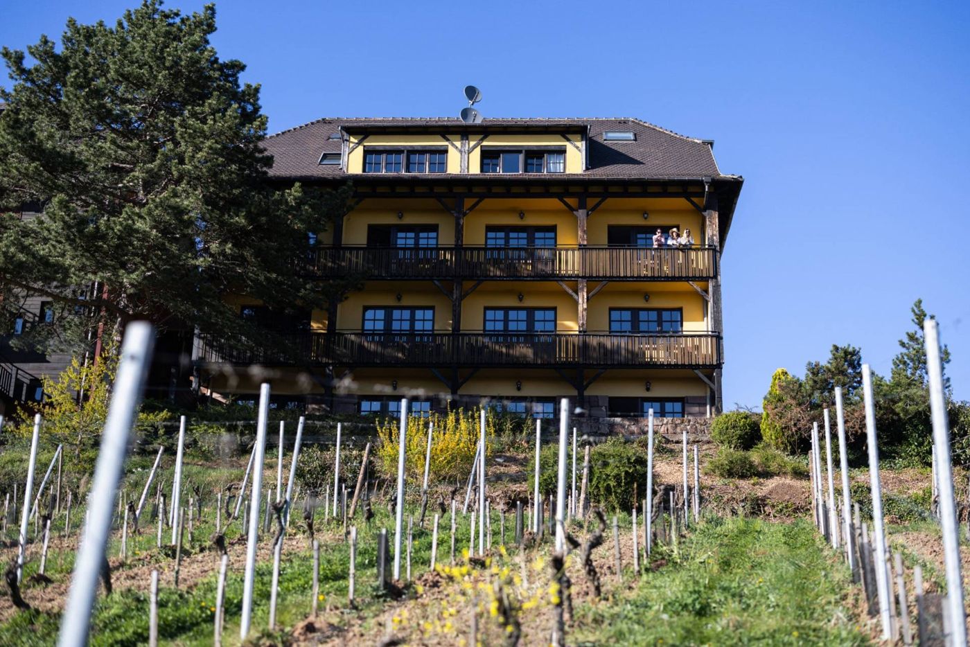 Hôtel Arnold