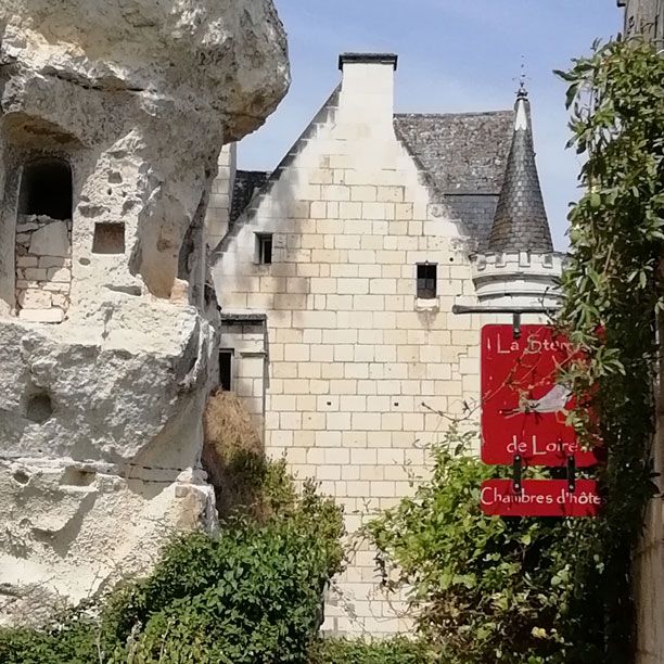 La Sterne de Loire