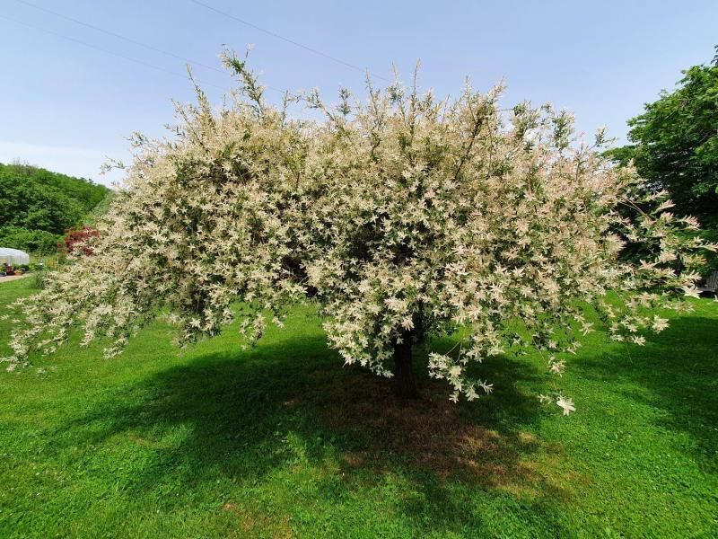 Le Puits du Moulin
