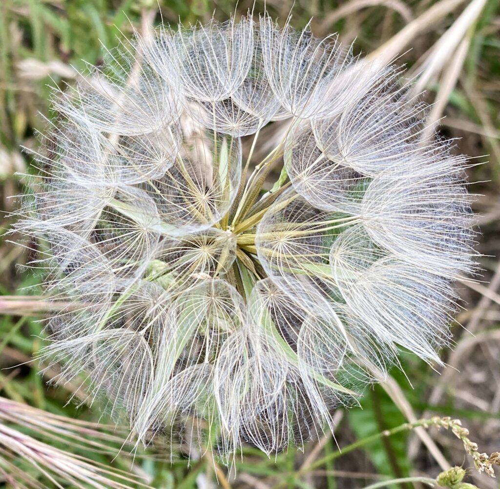 L'Escale Bellifontaine