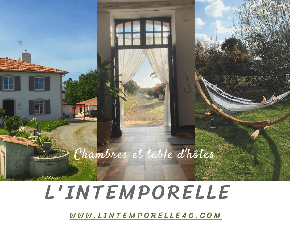 L'intemporelle