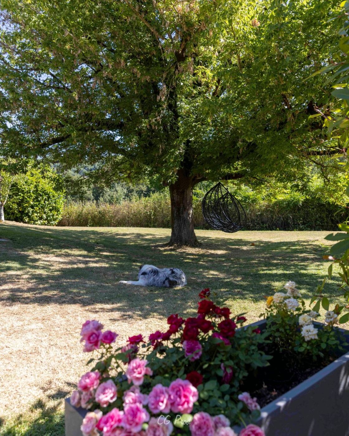Auberge de Cartassac