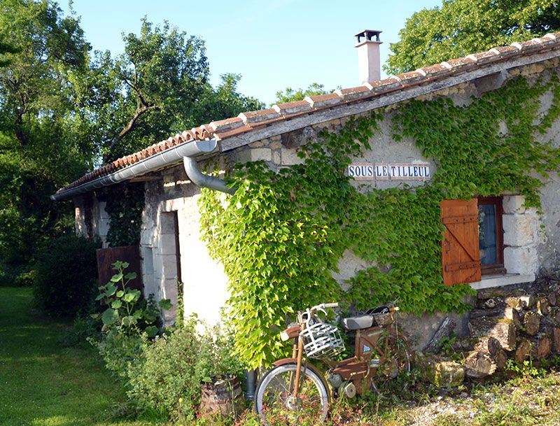 Sous le Tilleul