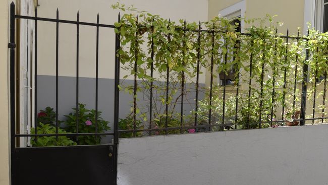 La Cour du 5eme