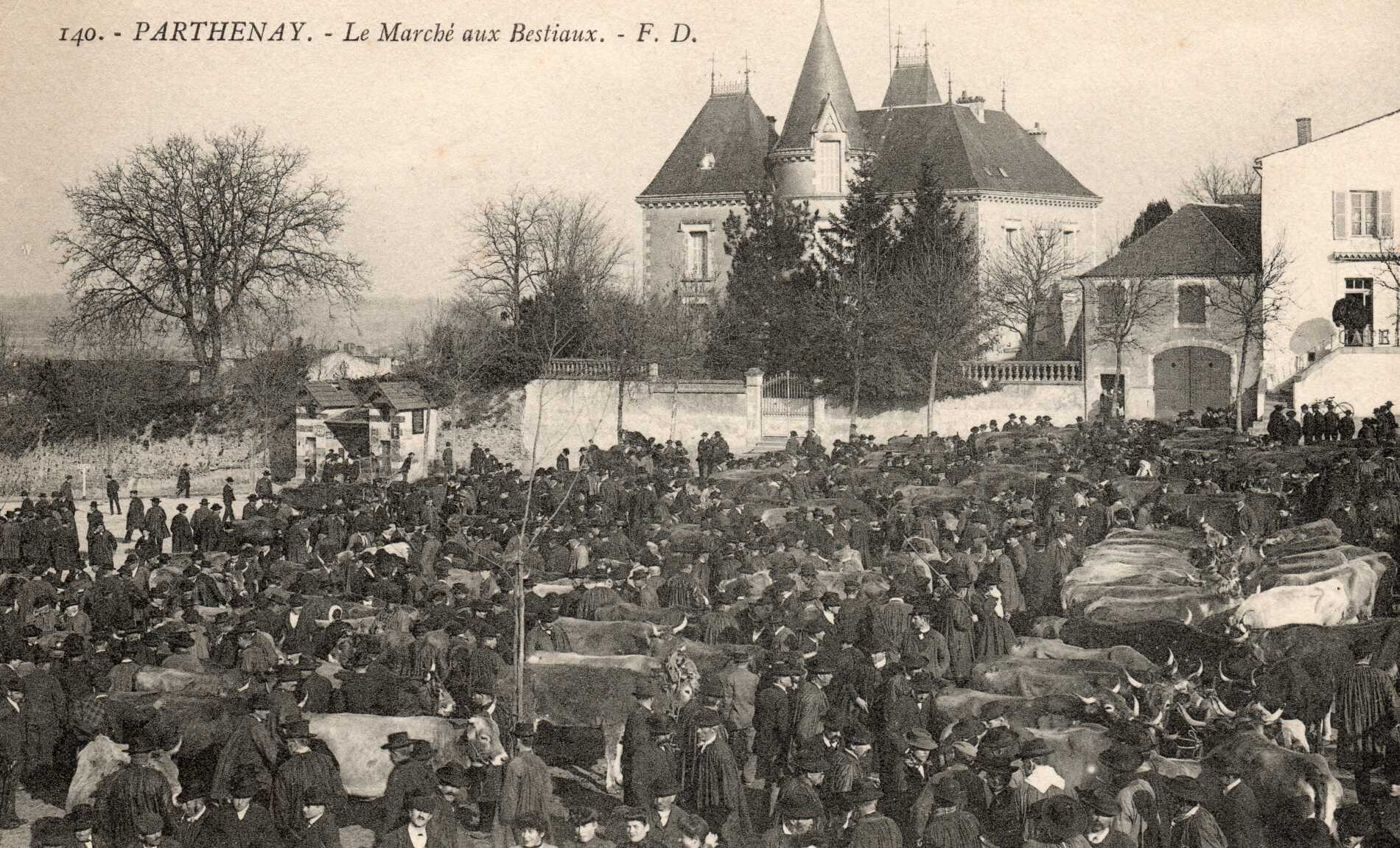 Château Maranne