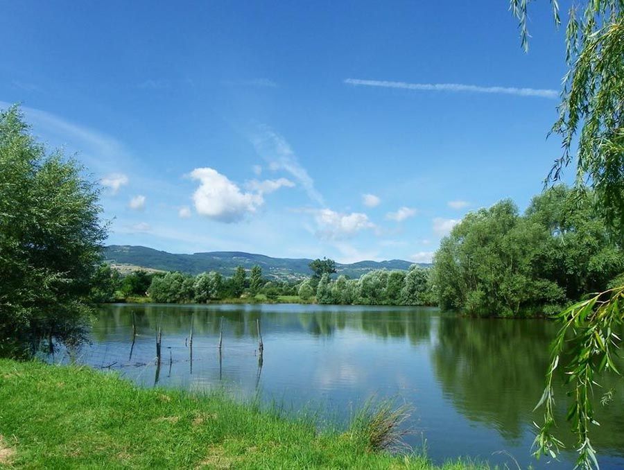 Domaine d'AROMM