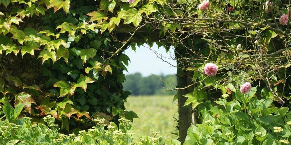 Le Jardin dans les vignes