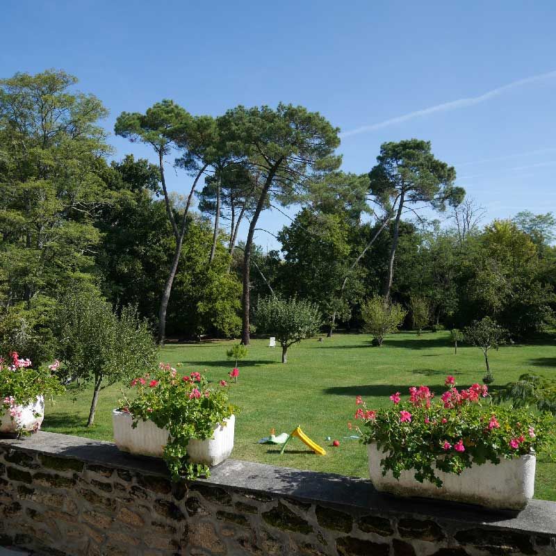 Les Volets Violets - SITE OFFICIEL - Meilleur tarif garanti