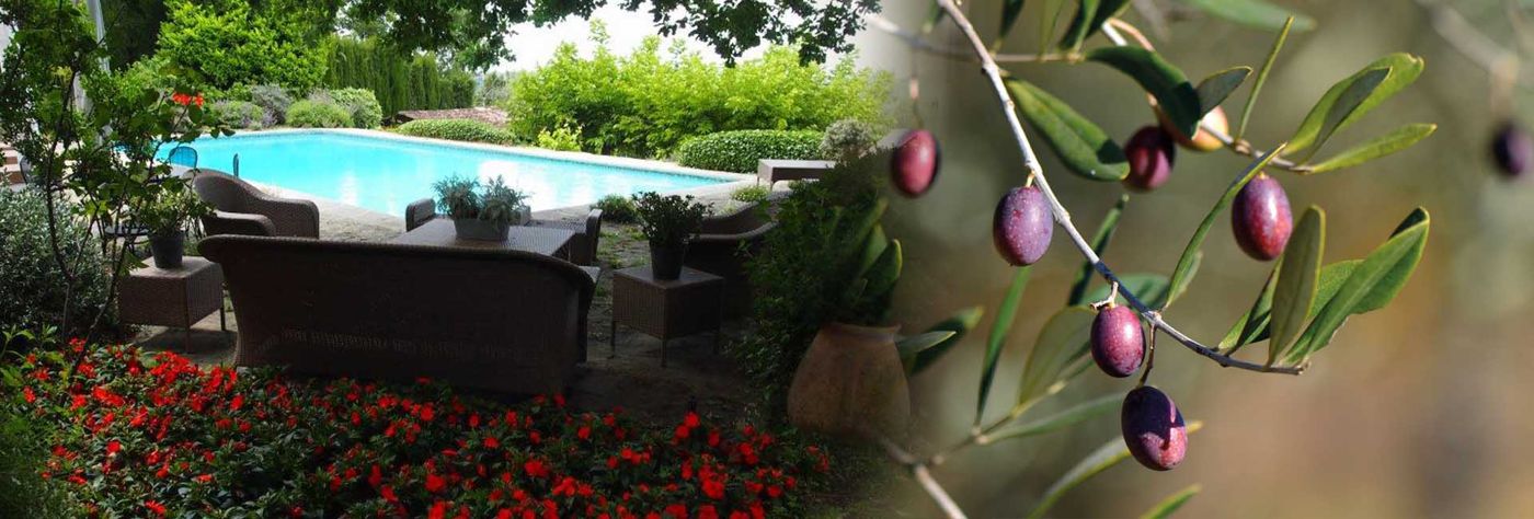 Domaine des Tilleuls d'Or