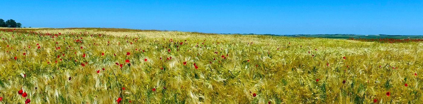 Les Viviers