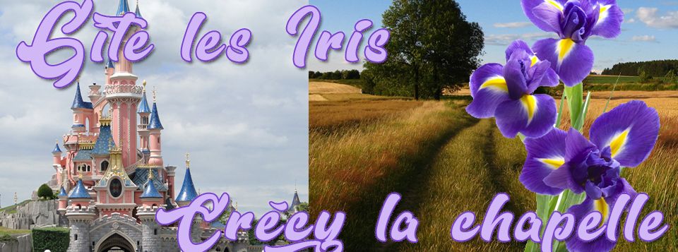 Gîte Les Iris