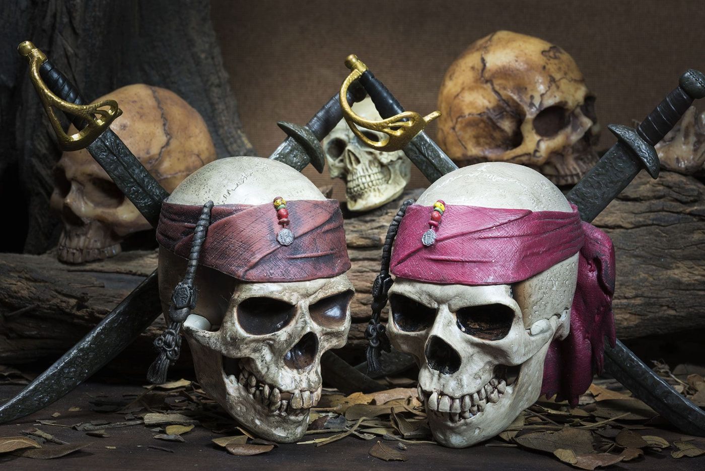 Hôtel Cap Pirate