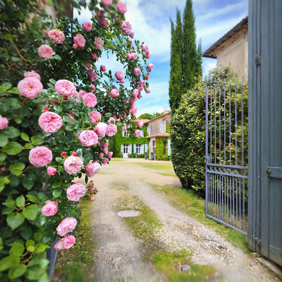 Château de Didonne