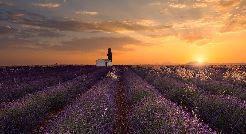 Les Terrasses de Valensole
