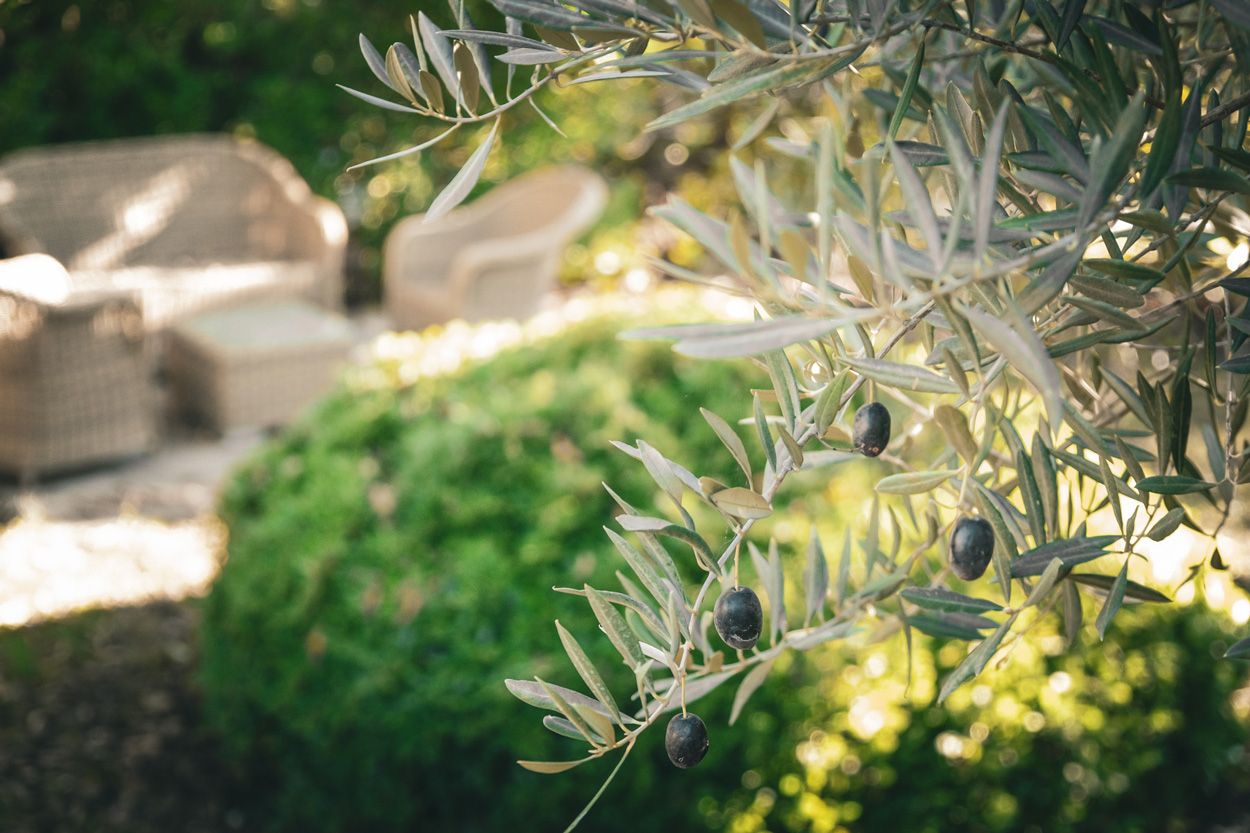 La Bastide De Sauvetas