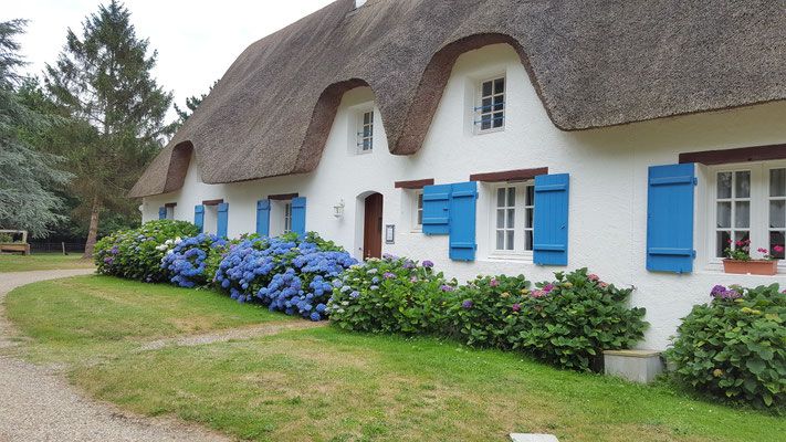 Maison d'hôtes Les Nymphéas
