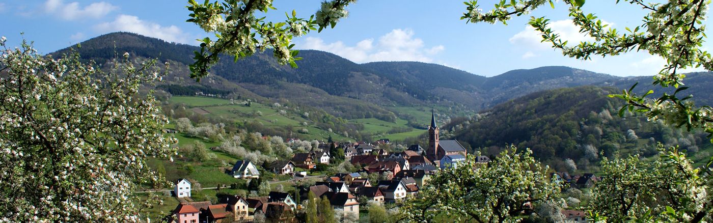 La Cerisaie