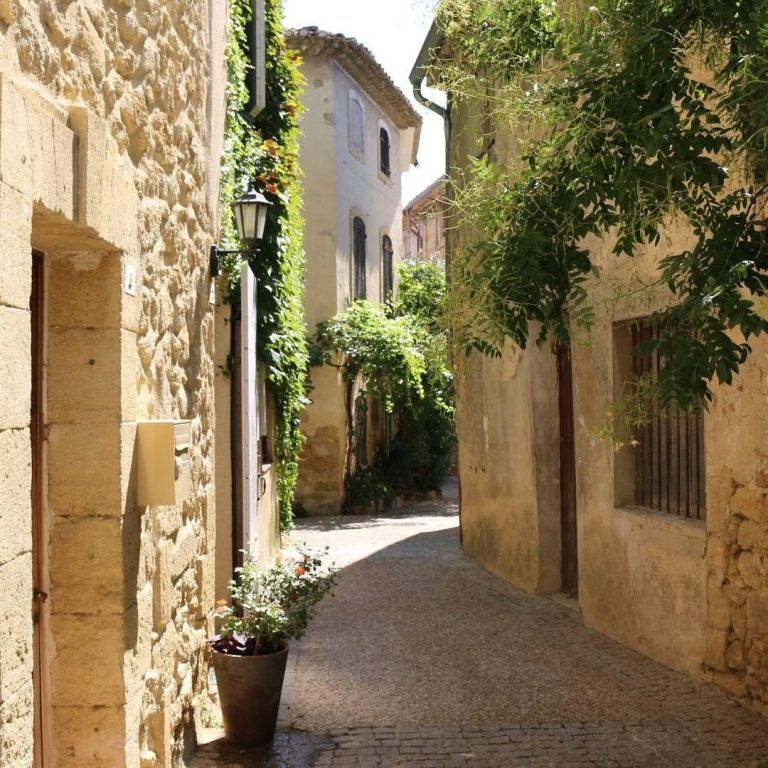 Chambres d'Hotes le Terebinthe
