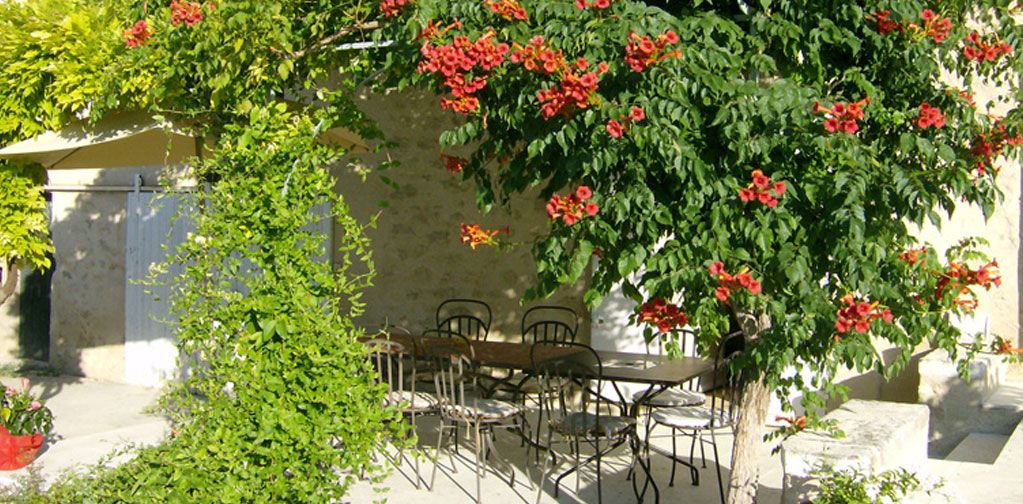 Chambres d'Hôtes le Vignoble