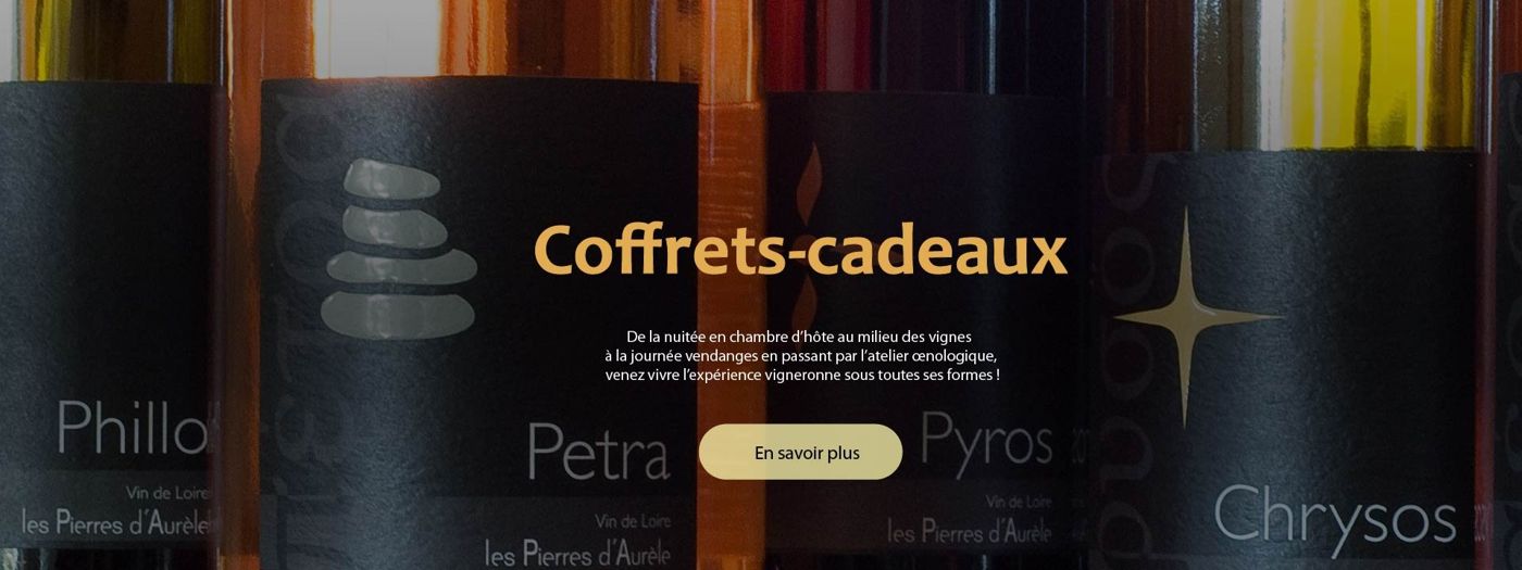 Les Pierres d'Aurèle