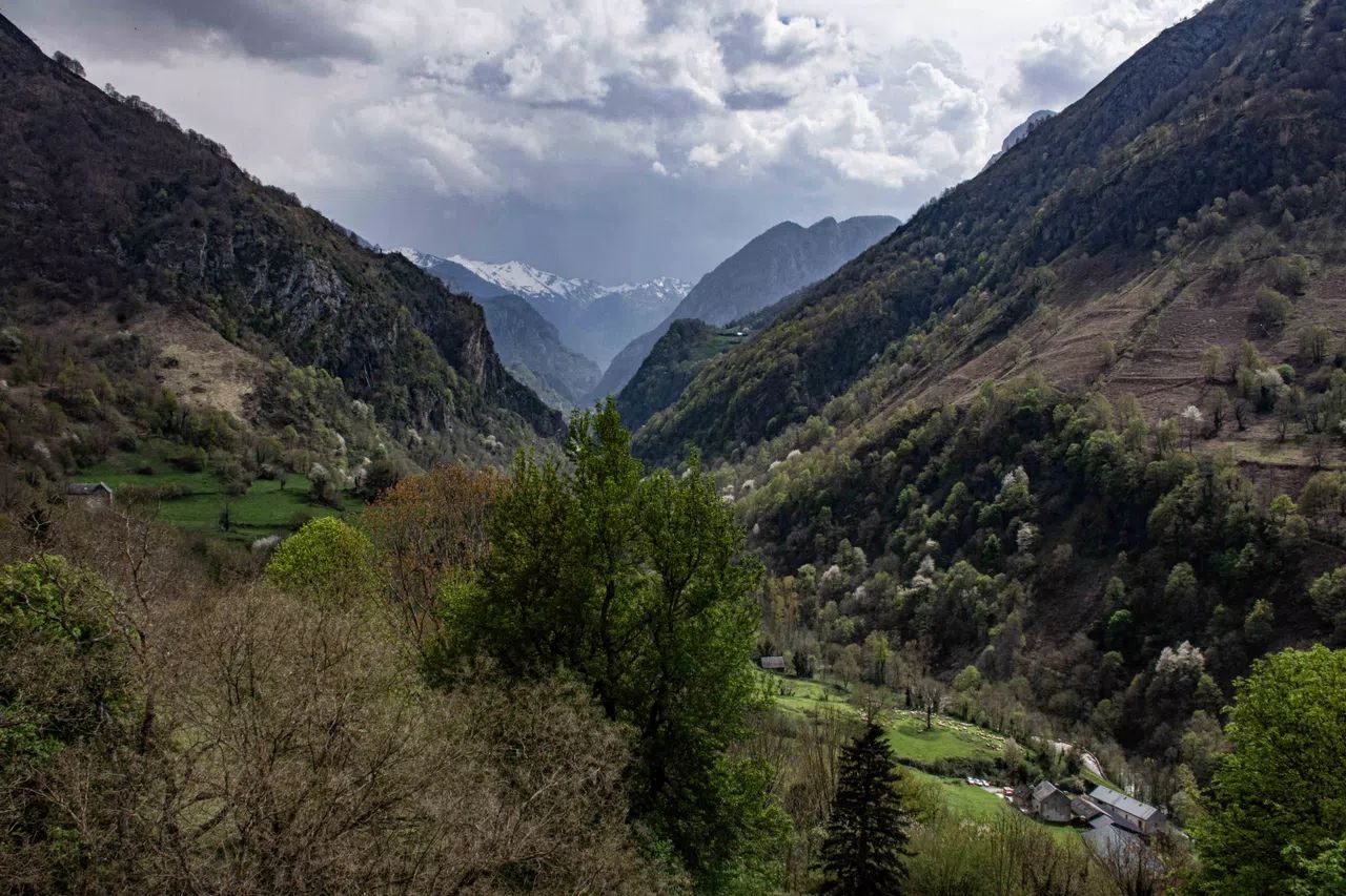 Auberge Toison D Or