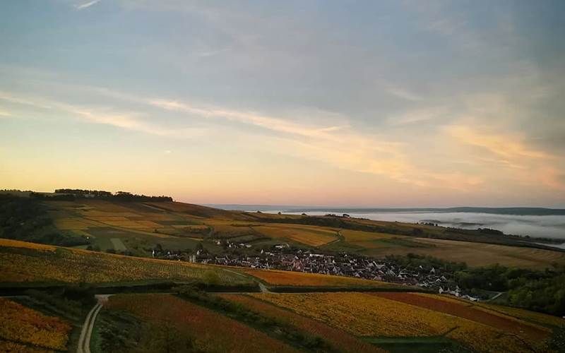 Pavillon Saint-Vincent. de Gites en Vignes. Irancy