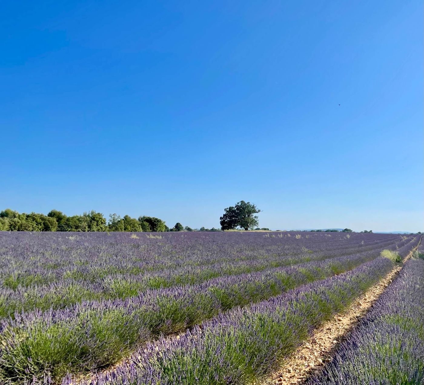 La Bastide